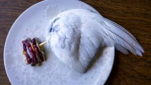 El restaurante galardonado m&aacute;s septentrional del mundo se encuentra en Groenlandia