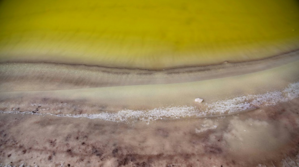 Ir&aacute;n anuncia hallazgo de un yacimiento de litio