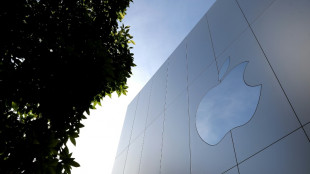 Apple r&eacute;alise un profit trimestriel record de 36 milliards de dollars mais ses ventes d&eacute;&ccedil;oivent