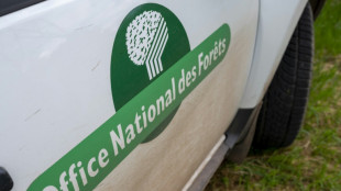 L'ONF aux aguets en Charente-Maritime: "Un m&eacute;got et &ccedil;a part &agrave; vitesse grand V"