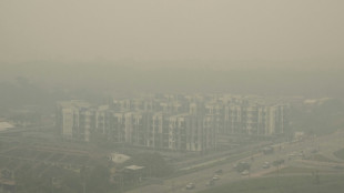 How haze from Indonesian fires impacts Southeast Asia