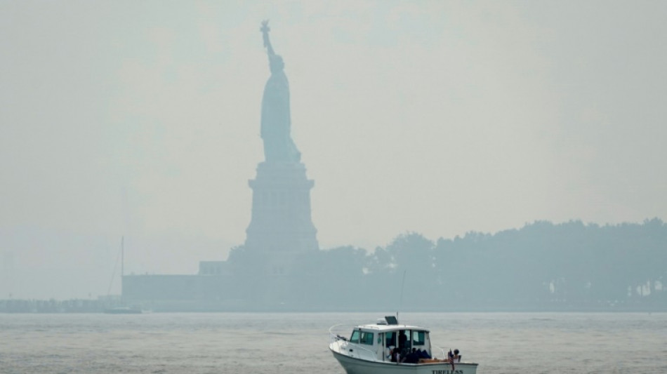 Franz&ouml;sischer Europaabgeordneter fordert von USA R&uuml;ckgabe der Freiheitsstatue