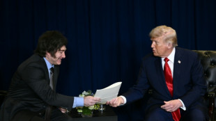 Washington en soutien appuy&eacute; &agrave; l'&eacute;conomie de son alli&eacute; argentin Milei