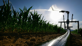 La France suffoque, comme l'Espagne, th&eacute;&acirc;tre d'incendies