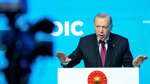 Diez organizaciones piden la "liberaci&oacute;n inmediata" de un periodista turco