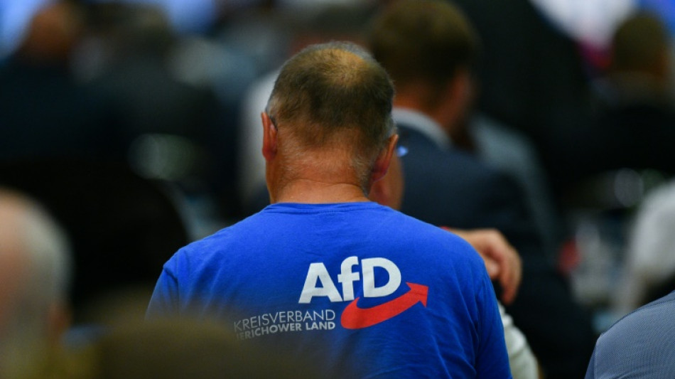 AfD geht fast nur mit m&auml;nnlichen Kandidaten in Wahl - Frauenanteil elf Prozent