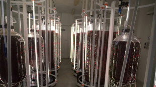 Una granja australiana apuesta por las algas para limitar el metano del ganado y luchar contra el cambio clim&aacute;tico