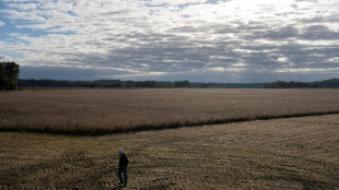 Fertilizer prices surge from Iran war, squeezing weary US farmers