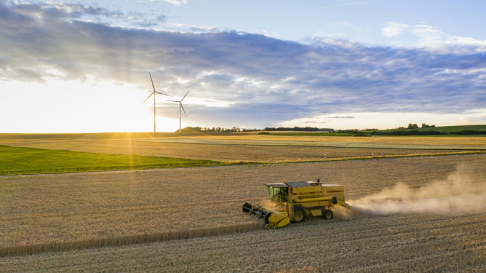 Les silos &agrave; grains sous haute surveillance face au r&eacute;chauffement climatique