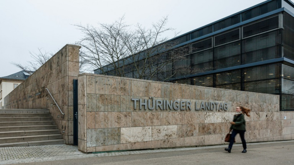 Th&uuml;ringen: AfD-Kandidat f&uuml;r Landtagsvize f&auml;llt durch - Partei blockiert Gremien