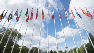 Gipfeltreffen des Europarats in Island