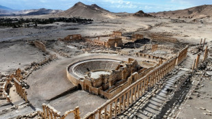 Retour timide &agrave; Palmyre, la "Perle du d&eacute;sert" syrien