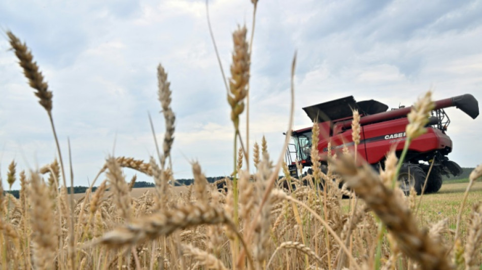 L'UE veut muscler sa logistique pour exporter les c&eacute;r&eacute;ales ukrainiennes