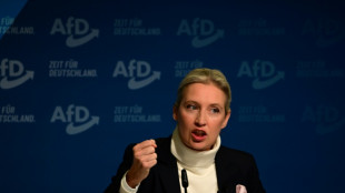 Alice Weidel, porte-drapeau d'une extr&ecirc;me droite allemande pr&ecirc;te &agrave; gouverner