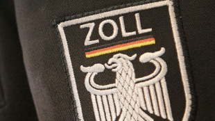Sieben Festnahmen bei Razzia gegen Schwarzarbeit in Baugewerbe