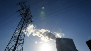 EU-Importstopp f&uuml;r russische Kohle zeichnet sich ab