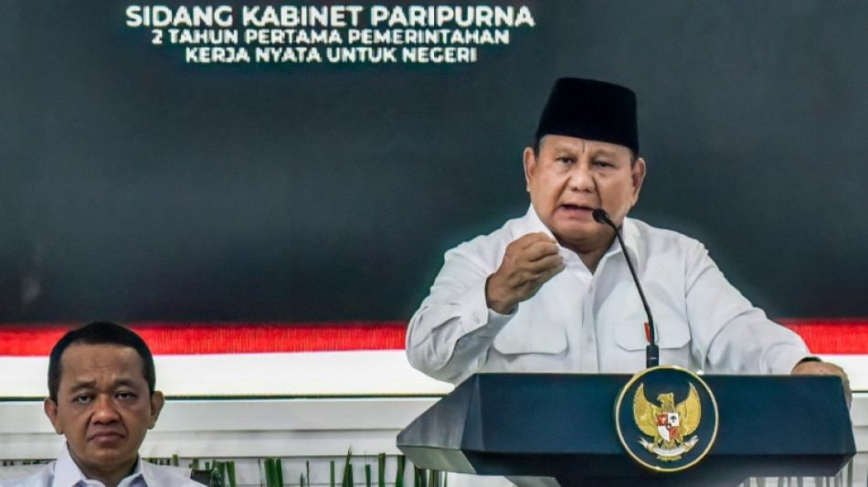 Indonesia leader hits out at market downgrade warning