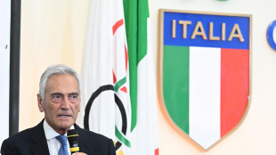 Euro 2024: Gravina 'Nazionale rappresenta comunit&agrave; itinerante'