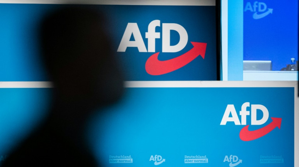 AfD-Parteitag best&auml;tigt Chrupalla knapp als Vorsitzenden