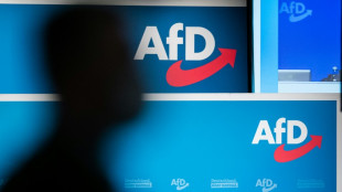 Chef der Bundeszentrale f&uuml;r politische Bildung: AfD-Wahl nicht als Protest abtun