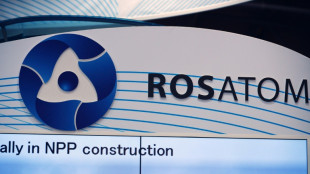 Ukraine: le russe Rosatom perd son contrat pour une centrale nucl&eacute;aire en Finlande