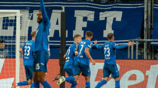 Dank Doppelpacker Hlozek: Atempause f&uuml;r Matarazzo