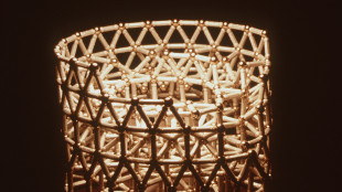 Primi robot col metabolismo, possono 'crescere' e 'guarire'