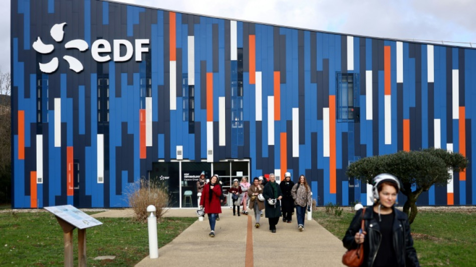 EDF engrange un b&eacute;n&eacute;fice record pour 2024, avant d'entamer une ann&eacute;e cruciale