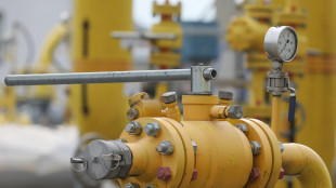 Il gas in forte ribasso (-4,8%) a 54,7 euro al Megawattora