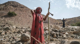 Schulze: Reiche L&auml;nder m&uuml;ssen Klimafl&uuml;chtlingen und ihren Herkunfsl&auml;ndern helfen