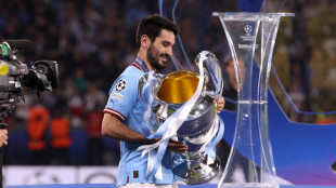 G&uuml;ndogan Fu&szlig;baller des Jahres, Fischer Trainer des Jahres