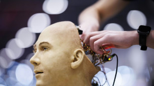 UN-Technologie-Chefin: Weltweit koordinierter Ansatz zur Regulierung von KI n&ouml;tig