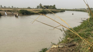 "Les oiseaux ne viennent plus": le nord du Nigeria face &agrave; la perte de biodiversit&eacute;