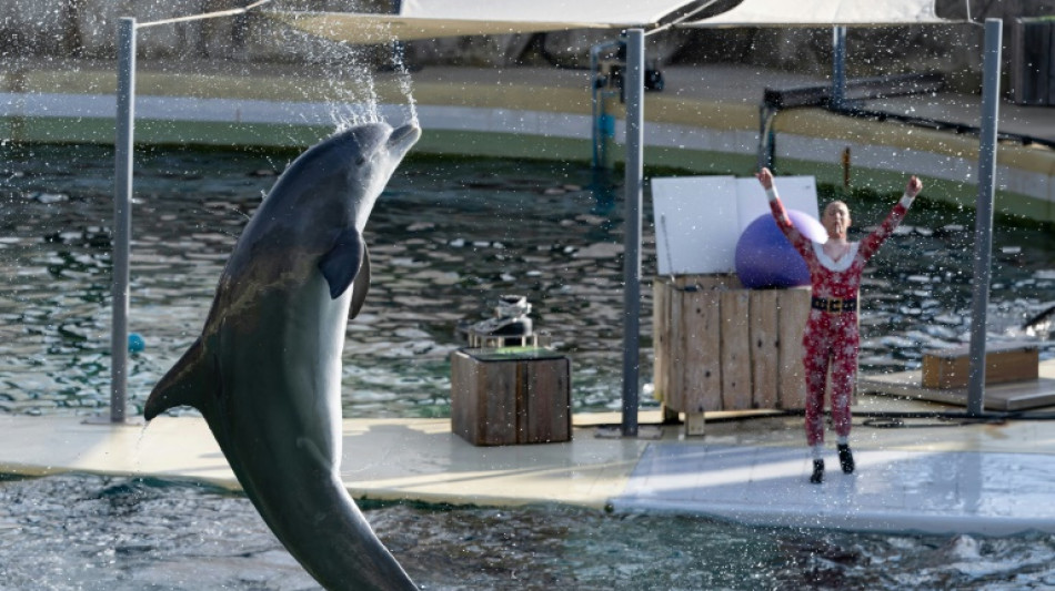 C&ocirc;te d'Azur: clap de fin pour les orques et les dauphins du Marineland
