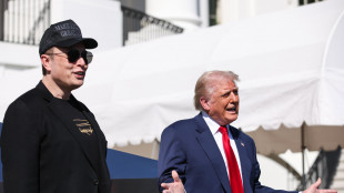 Trump, Musk &egrave; uno dei pi&ugrave; grande imprenditori al mondo