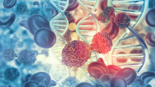 Un nuovo parametro per valutare l'aggressivit&agrave; dei tumori