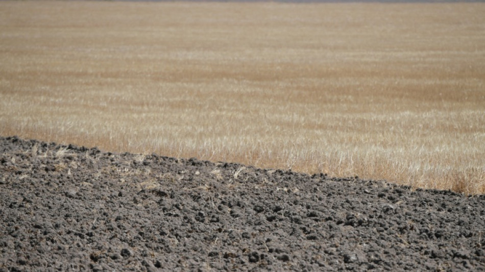 Spaniens Regierung bewilligt mehr als zwei Milliarden Euro f&uuml;r Kampf gegen D&uuml;rre