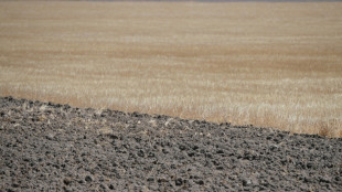 Spaniens Regierung bewilligt mehr als zwei Milliarden Euro f&uuml;r Kampf gegen D&uuml;rre