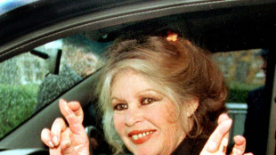 Bardot e la straziante storia della Renault 4L che non volle pi&ugrave; guidare