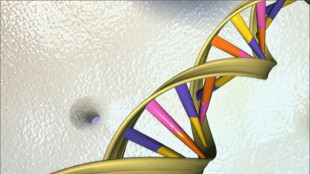 Google unveils AI tool probing mysteries of human genome