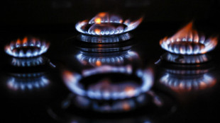 Il prezzo del gas frena a 73,16 euro al megawattora
