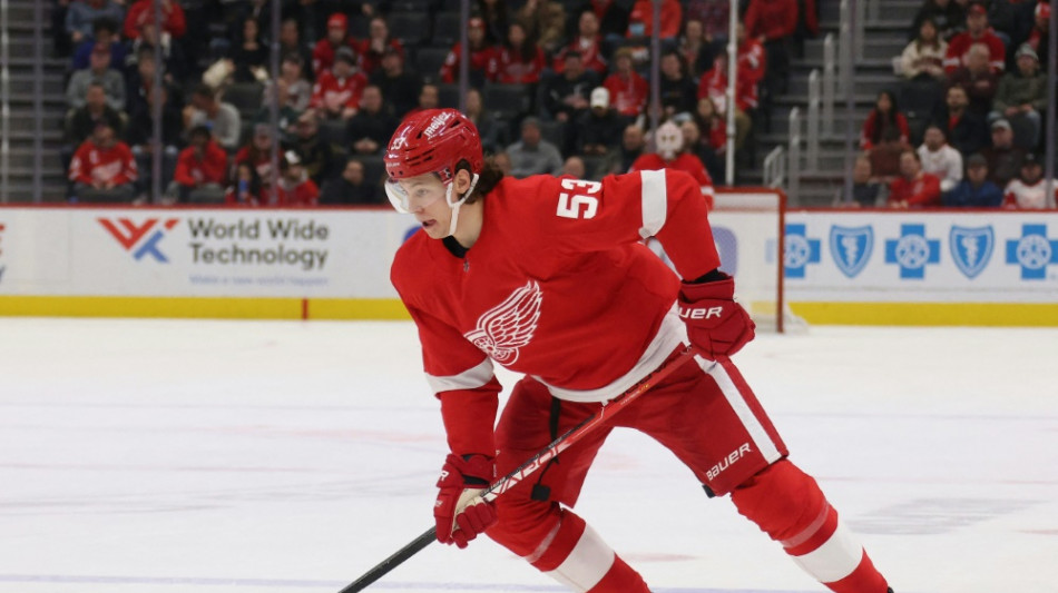 NHL: Niederlagen f&uuml;r Seider und Sturm