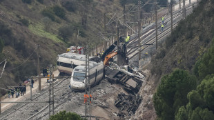 Treno contro gru, feriti in nuovo incidente ferroviario in Spagna