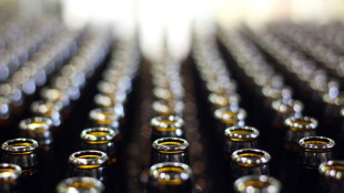 Un estudio franc&eacute;s halla m&aacute;s micropl&aacute;sticos en botellas de vidrio que en las de pl&aacute;stico