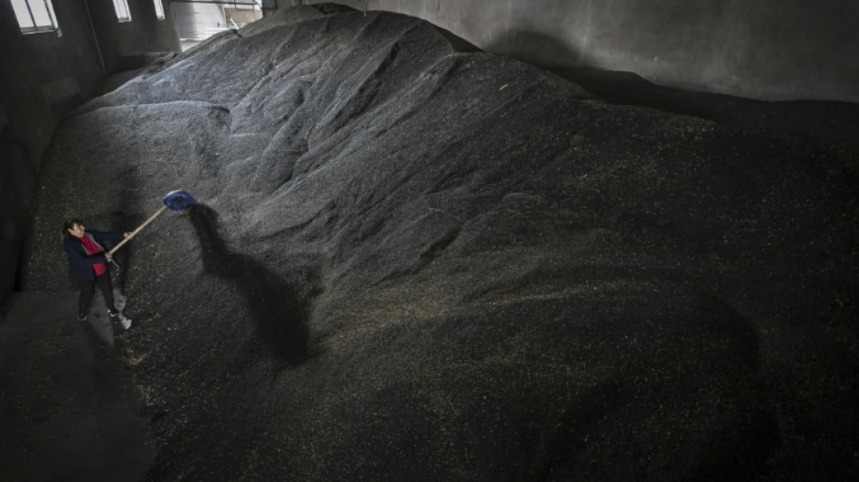 C&eacute;r&eacute;ales: les voisins occidentaux de l'Ukraine toujours vent debout