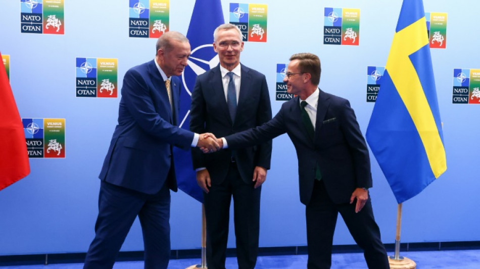 Turkey's Sweden demand rocks NATO show of unity on Ukraine war