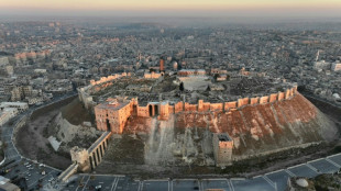 Alep, la deuxi&egrave;me ville de Syrie, &eacute;chappe au contr&ocirc;le du r&eacute;gime selon une ONG