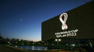 Bundeskabinett macht Weg f&uuml;r abendliches Public Viewing bei Fu&szlig;ball-WM frei