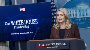 Usa, piano pace in Ucraina è 'buono' per entrambe parti