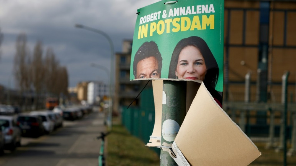 Gr&uuml;nen-Europaabgeordneter rechnet mit Wahlkampagne seiner Partei ab